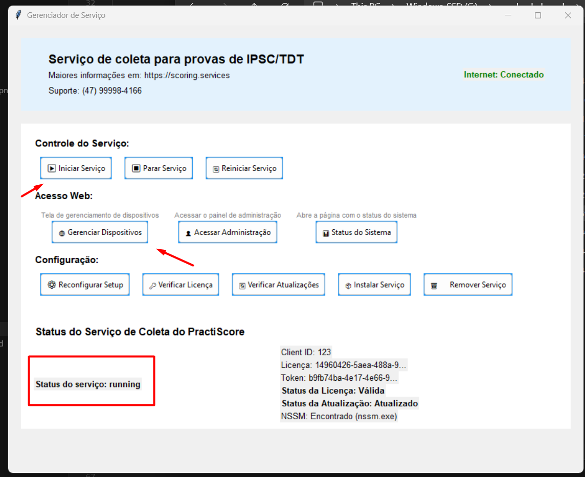 Servicio en ejecución — indicador activo tras Iniciar Servicio