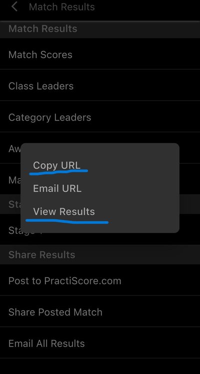 Menu com opções Copy URL e View Results destacadas